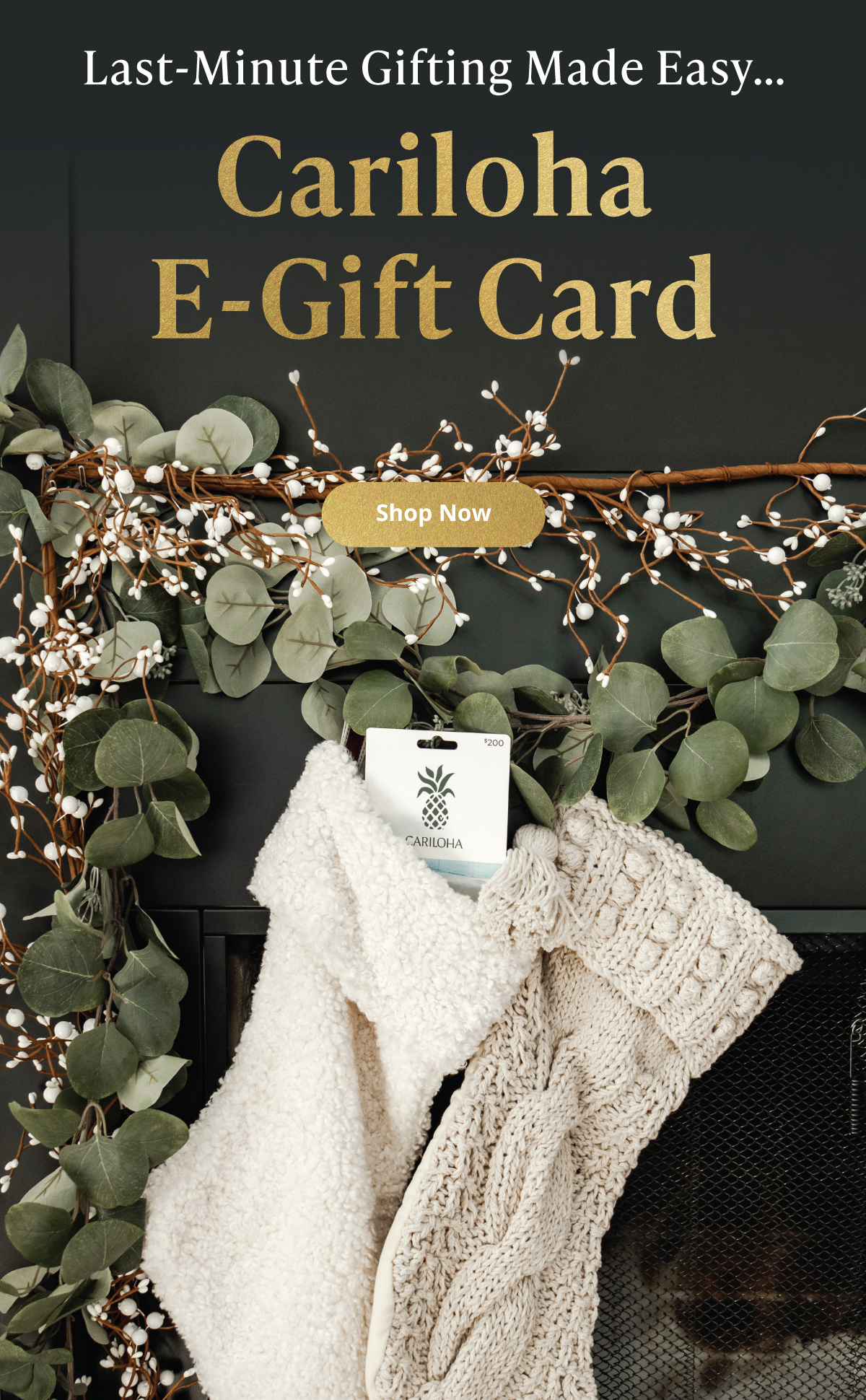 Last-Minute Gifting Made Easy. Cariloha E-Gift Card. SHOP NOW.