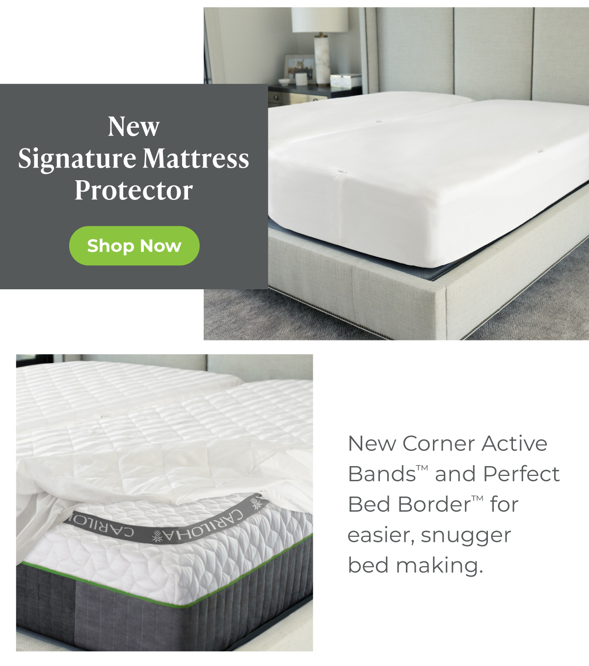 New Signature Mattress Protector - Shop Now