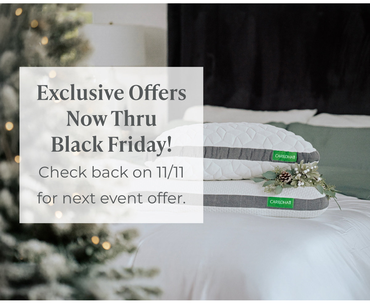 Exclusive Offers Now Thru Black Friday!