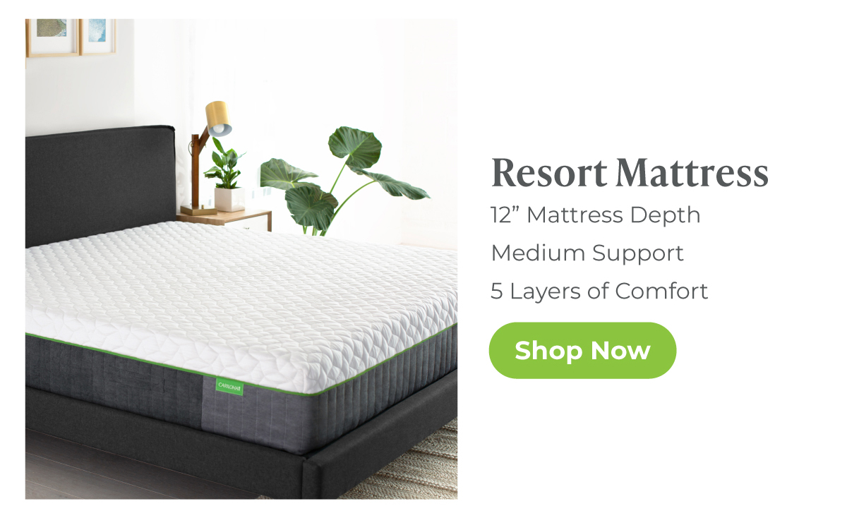 Resort Mattress | Shop Now