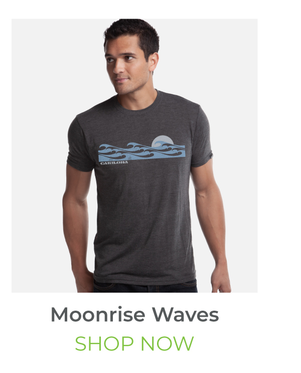 Moonrise Waves