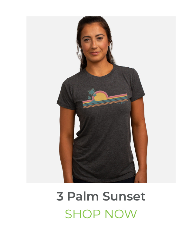 3 Palm Sunset