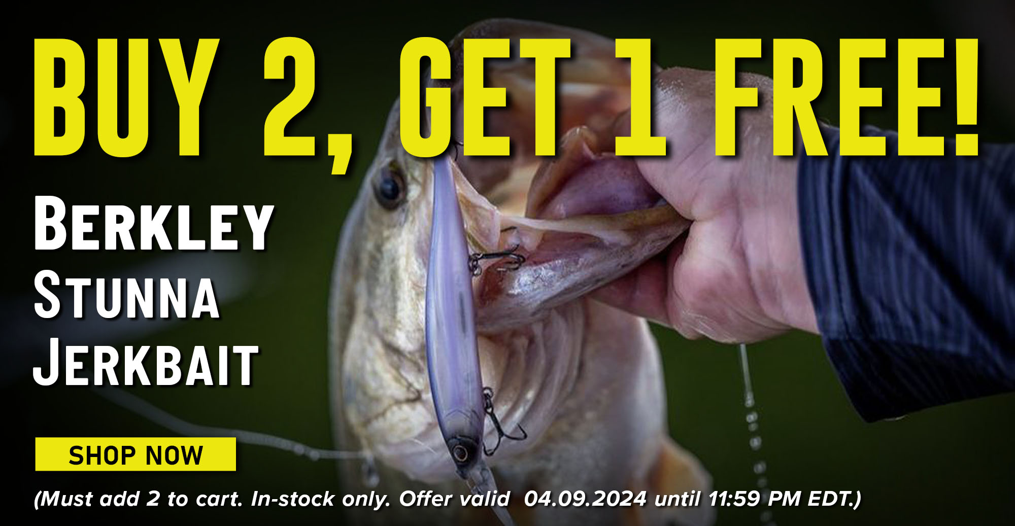 Stock Up on Your Favorite Jerkbaits with Today's Sale! - Fish USA