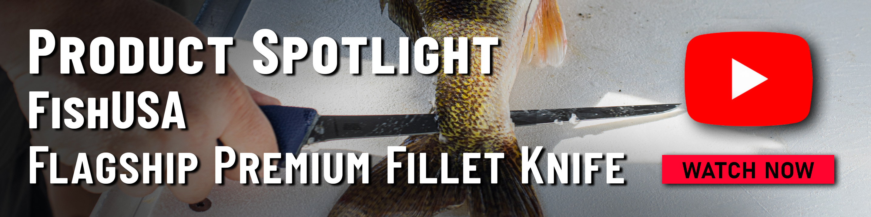 Product Spotlight FishUSA Flagship Premium Fillet Knife