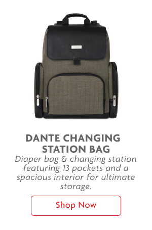 Dante Changing Station Bag