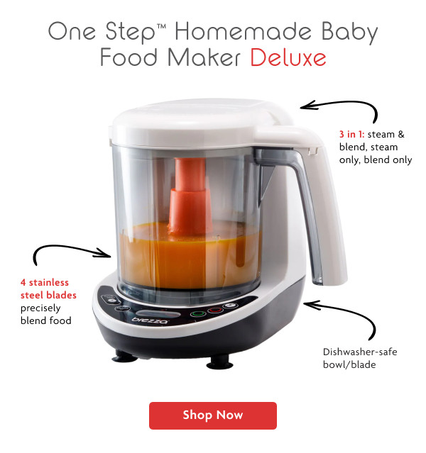 One Step Homemade Baby Food Maker Deluxe