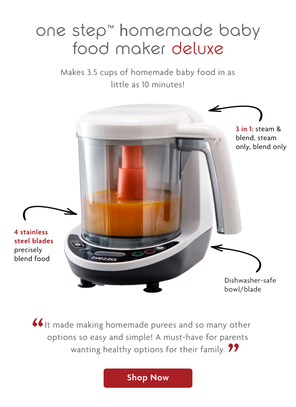 One Step Homemade Baby Food Maker Deluxe