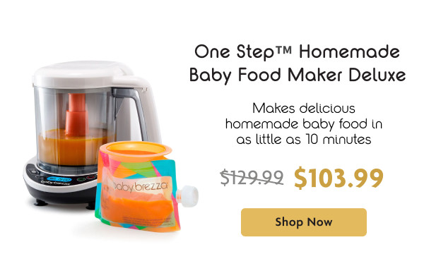 One Step Homemade Baby Food Maker Deluxe