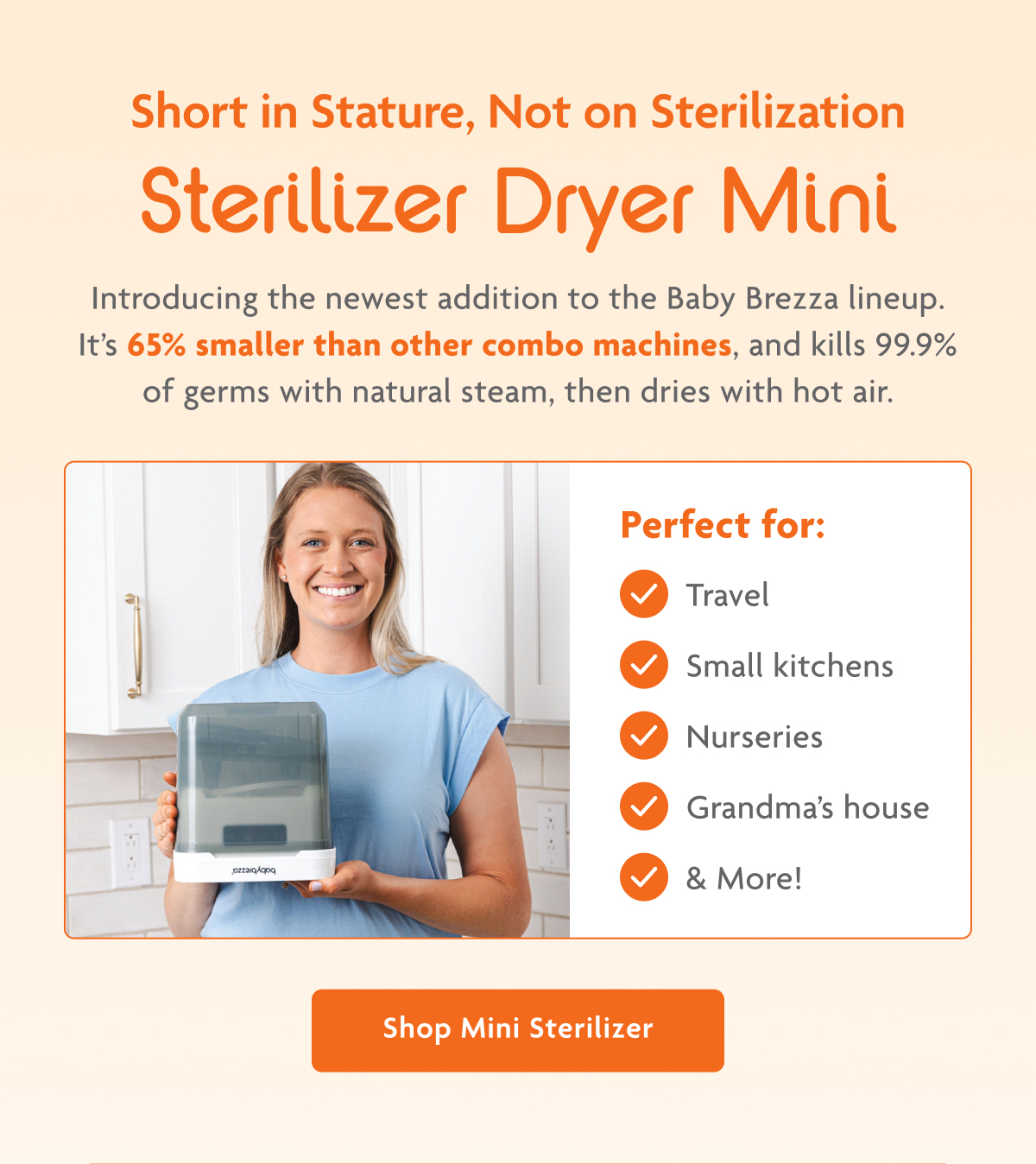 Sterilizer Dryer Mini | Shop Mini Sterilizer