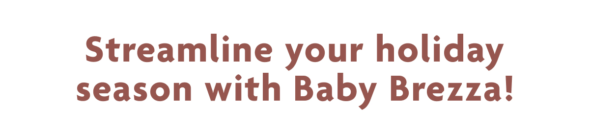 Streamline Your Holiday Season With Baby Brezza!