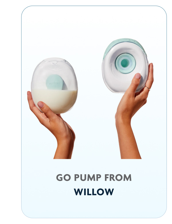 Go Pump From Willow