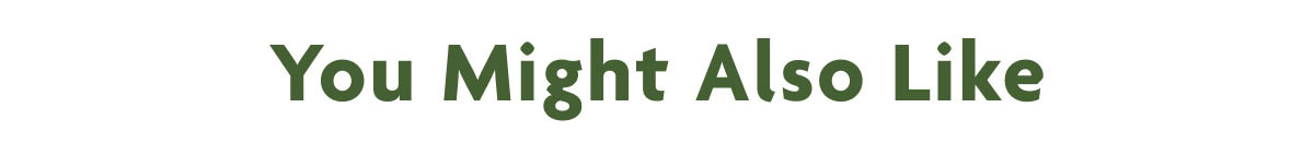 You Might Also Like