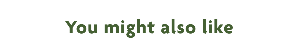 You Might Also Like