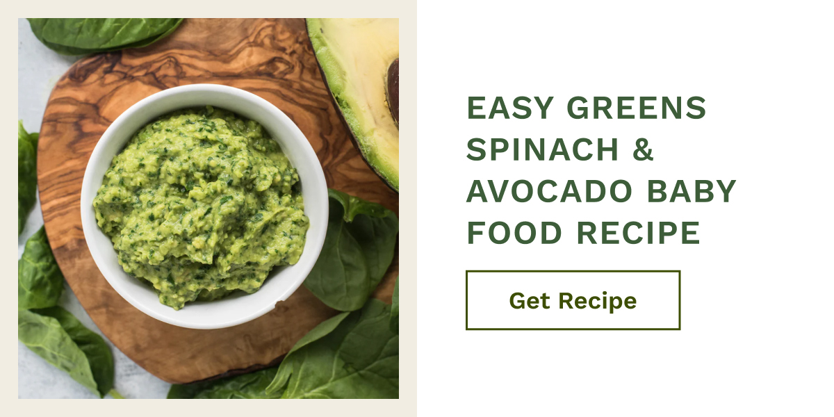Easy Green Spinach & Avocado Baby Food Recipe | Get Recipe