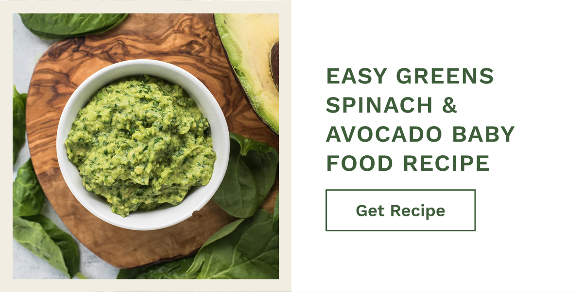 Easy Greens Spinach & Avocado Baby Food Recipe | Get Recipe