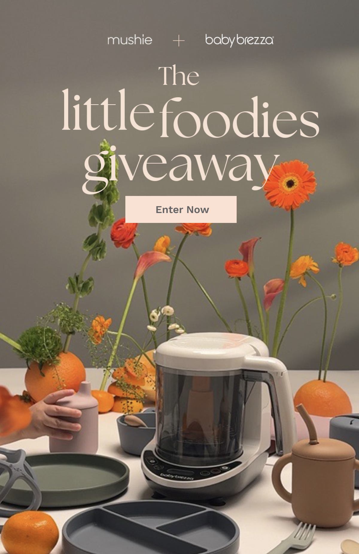 The Little Foodies Giveaway | Enter Now