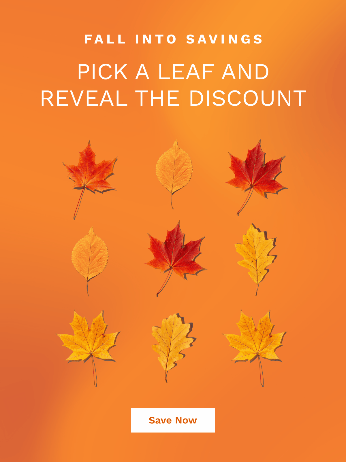 Pick A Leaf And Reveal The Discount | Save Now