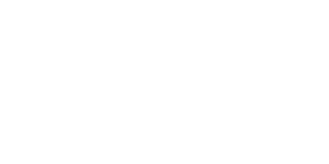 Meister