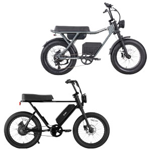 GoTrax Ranger or Swft Zip X E-Bike