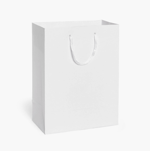 White Matte GIft Bags