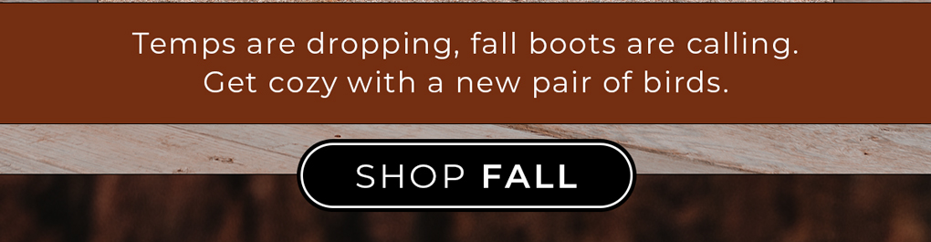 Shop Fall