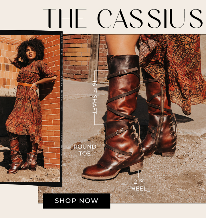 The Cassius