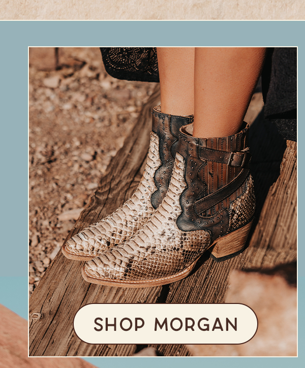 Morgan Black/White Python - Shop Morgan