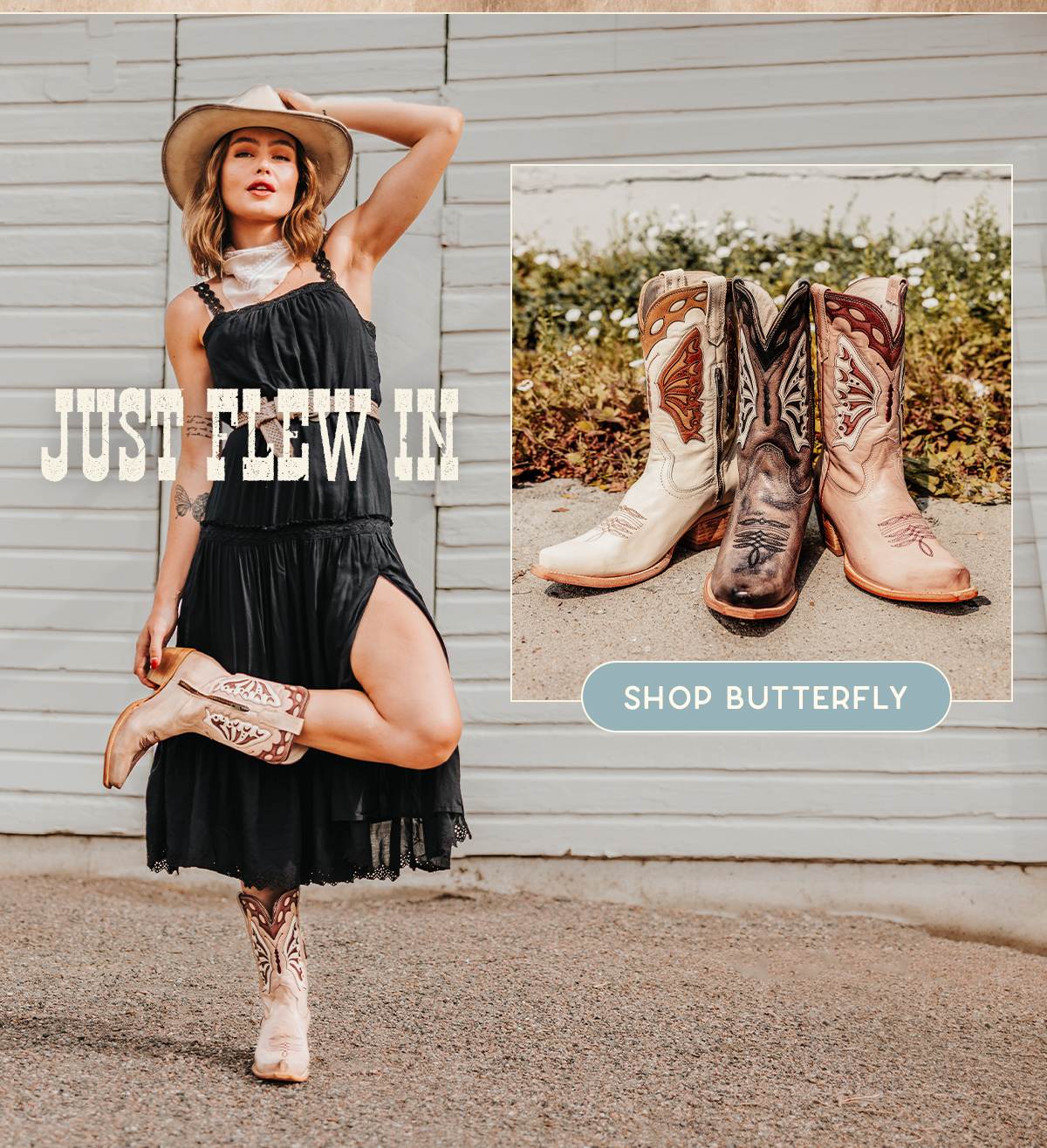 Just Flew In - Shop Butterfly