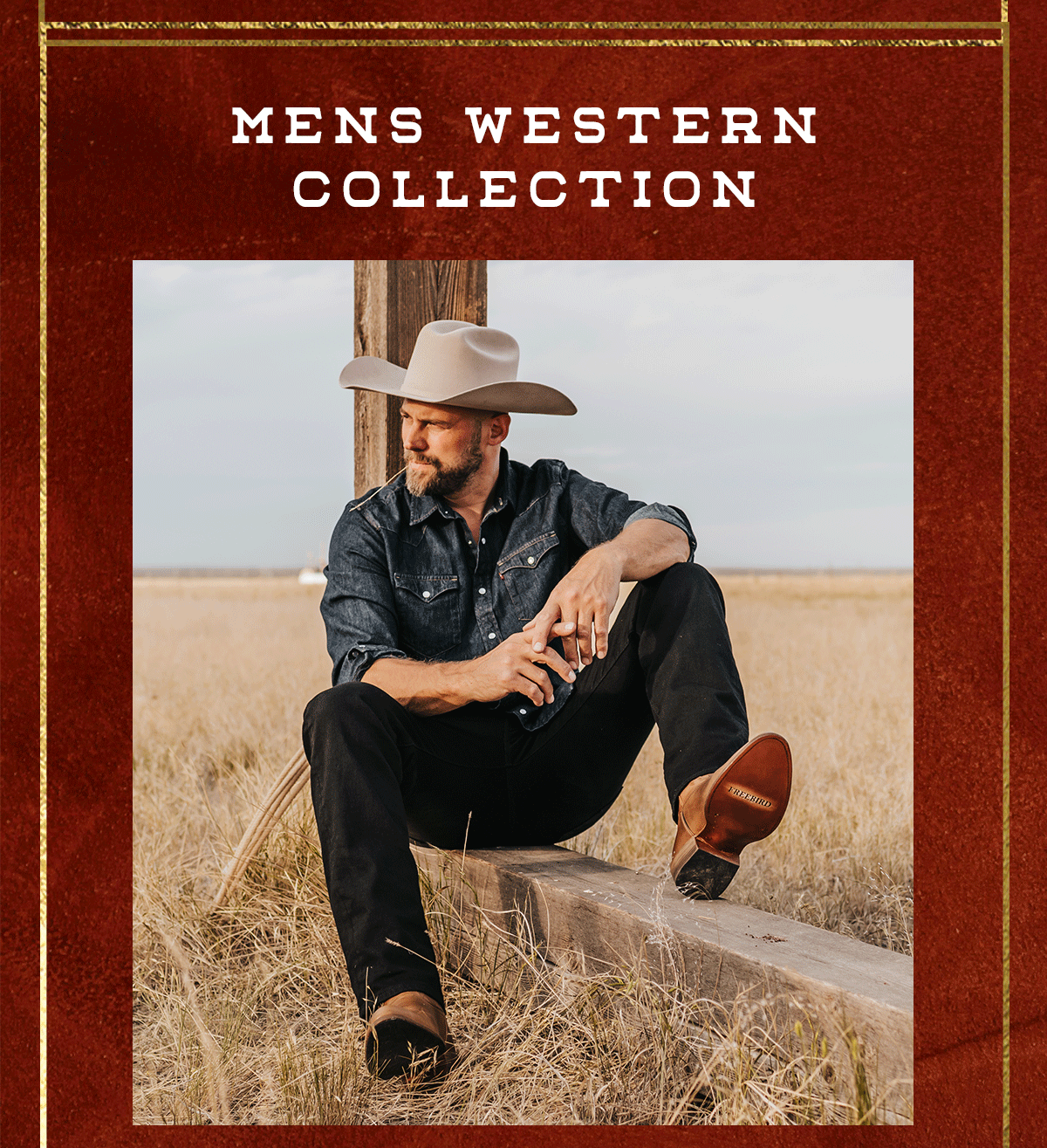 Mens Western Collection