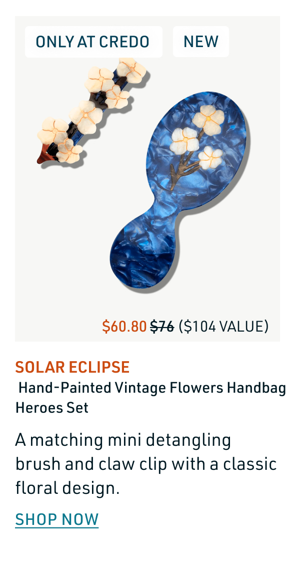 Solar Eclipse Hand-Painted Vintage Flowers Handbag Heroes Set