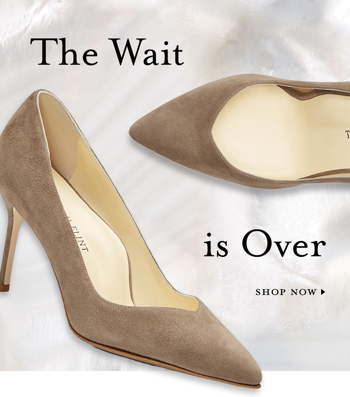 The Wait is Over. SHOP NOW >