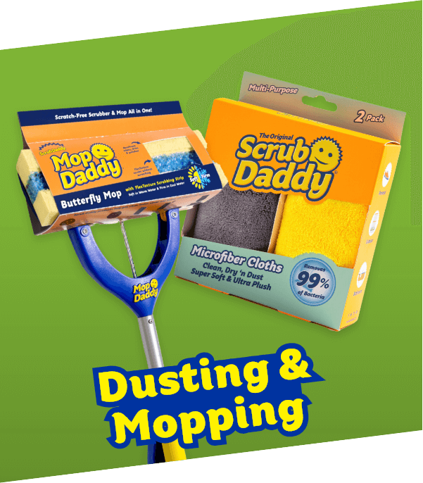 Dusting and Mopping