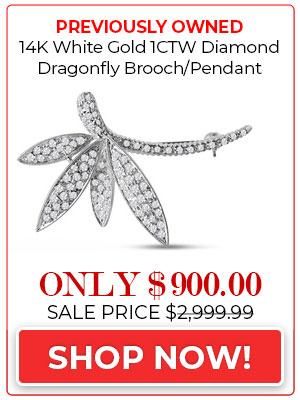 Previously Owned 14K White Gold 1CTW Diamond Dragonfly Brooch/Pendant