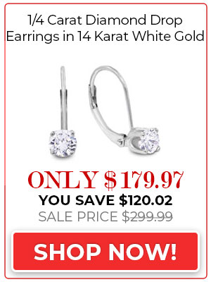 Diamond Drop Earrings 1/4 Carat Diamond Drop Earrings in 14k White Gold