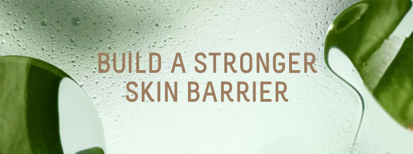 skin barrier