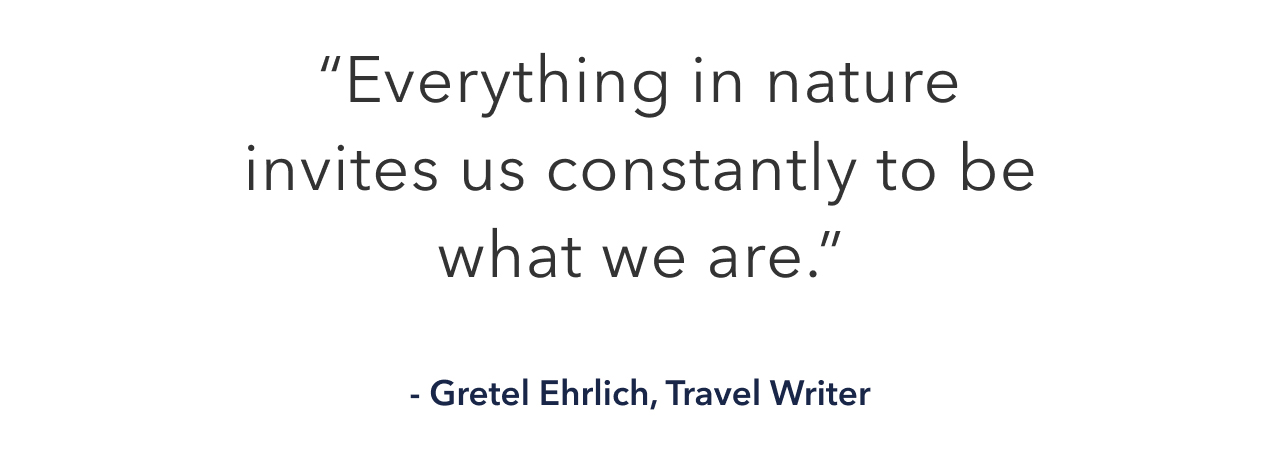 "Everything in nature invites us constantly to be what we are" - Gretel Ehrlich, Travel Writer