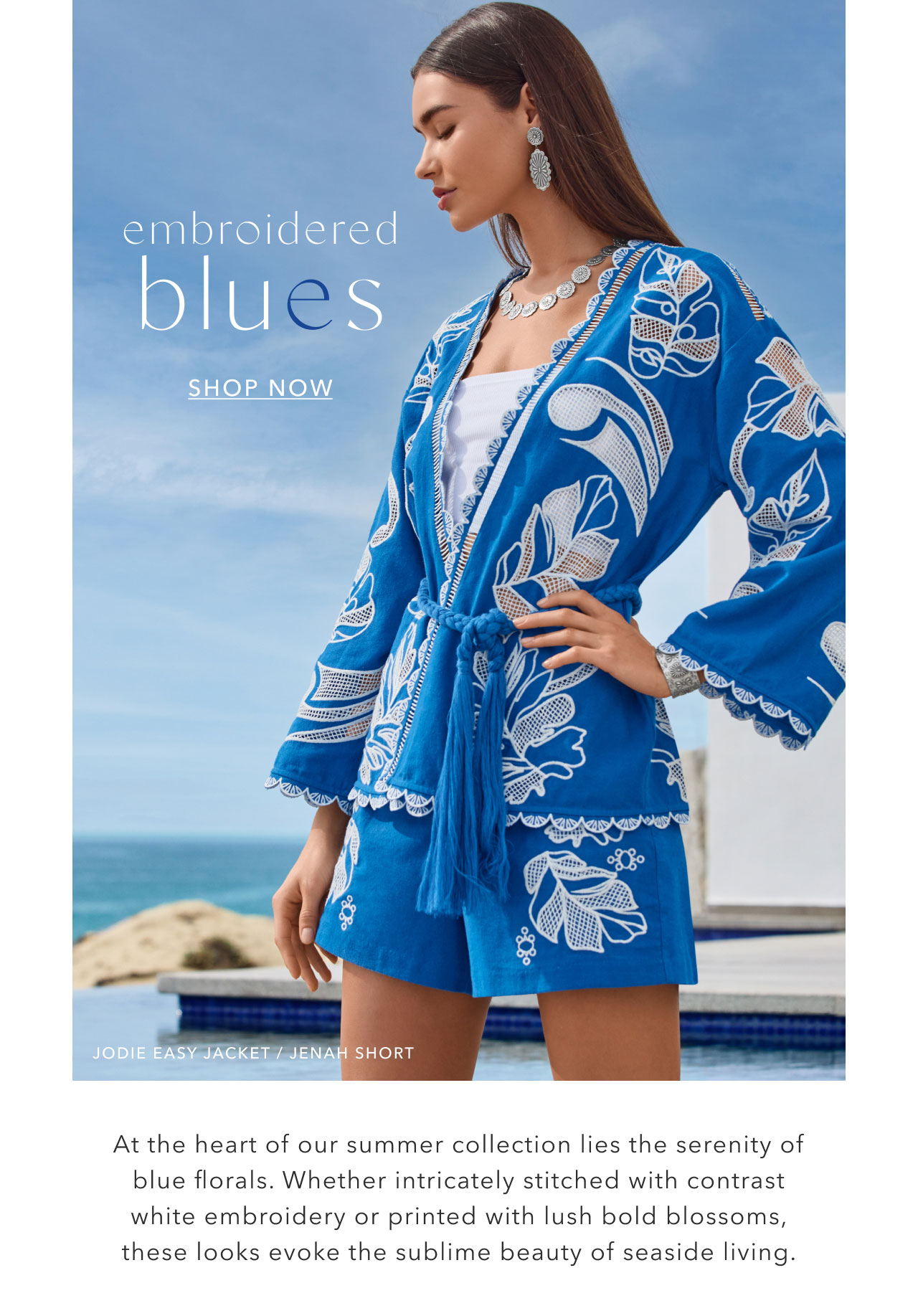 EMBROIDRED BLUES SHOP NOW