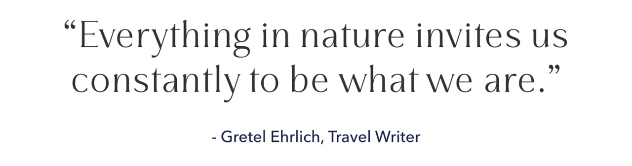 "Everything in nature invites us constantly to be what we are" - Gretel Ehrlich, Travel Writer