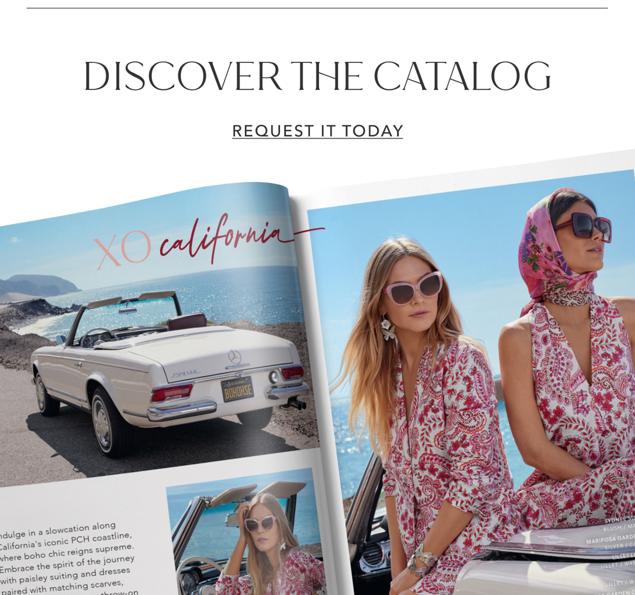 Discover The Catalog