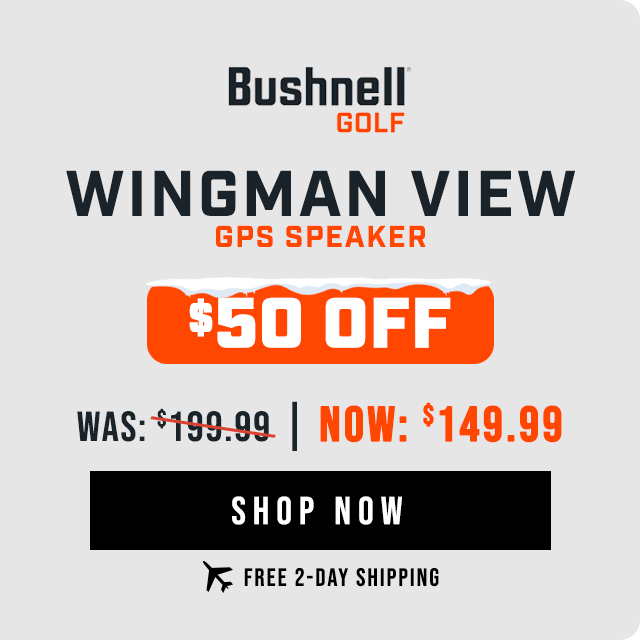 Bushnell Wingman View