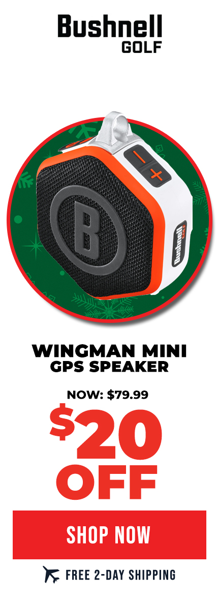 Bushnell Wingman Mini GPS Speaker | $20 OFF