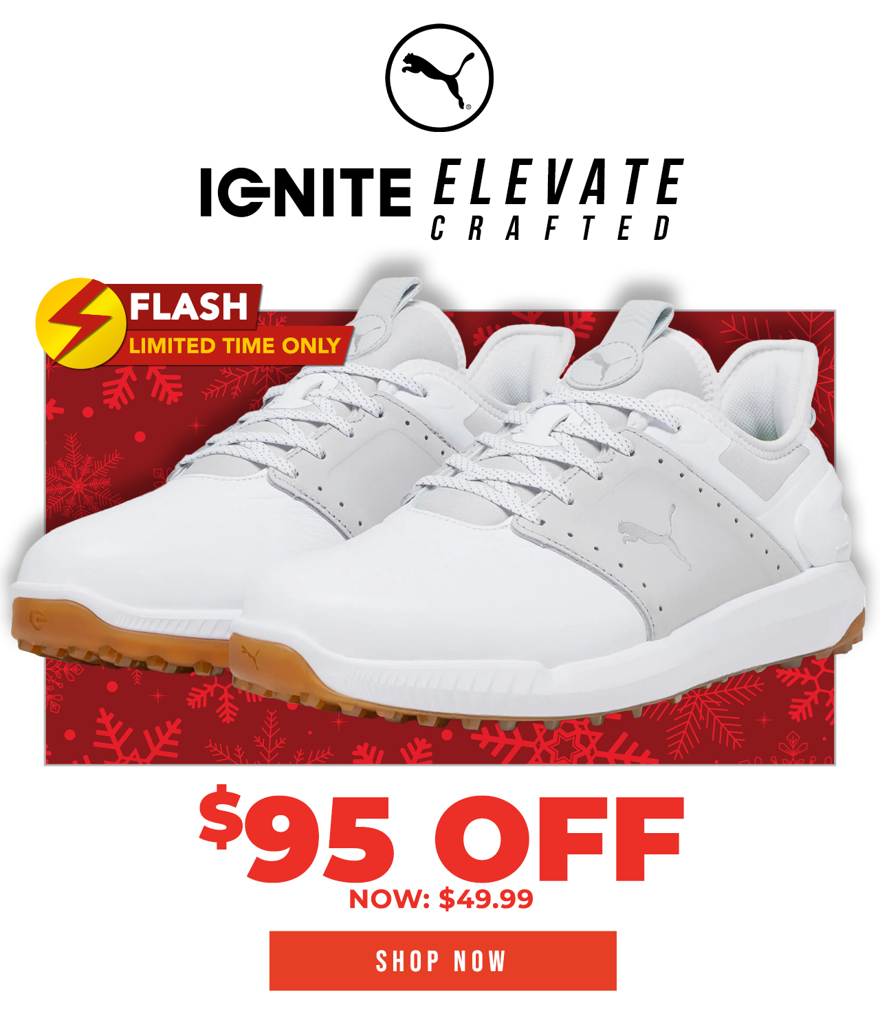 Puma Ignite Elevate Crafted Golf Shoes