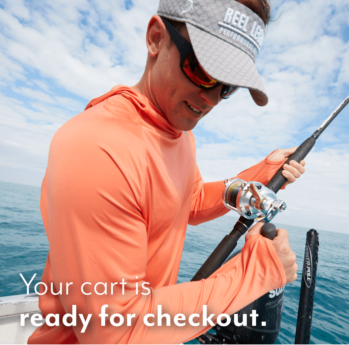 Your cart is ready for checkout.