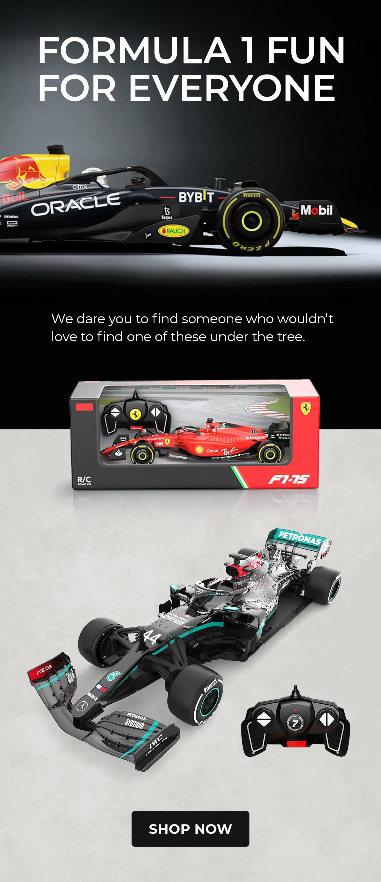 F1 Remote Control Cars