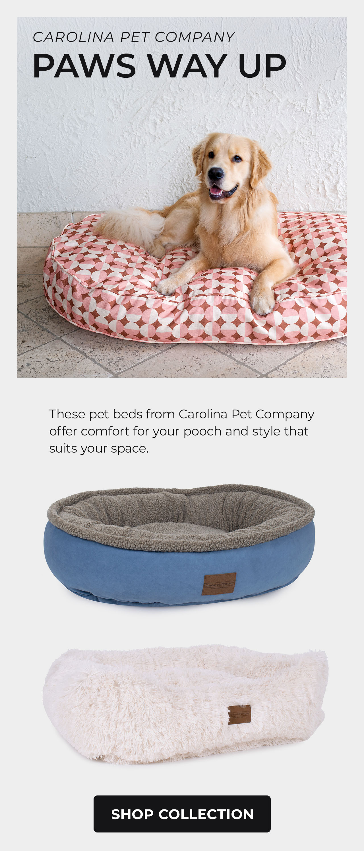 Carolina Pet Company Pet Beds