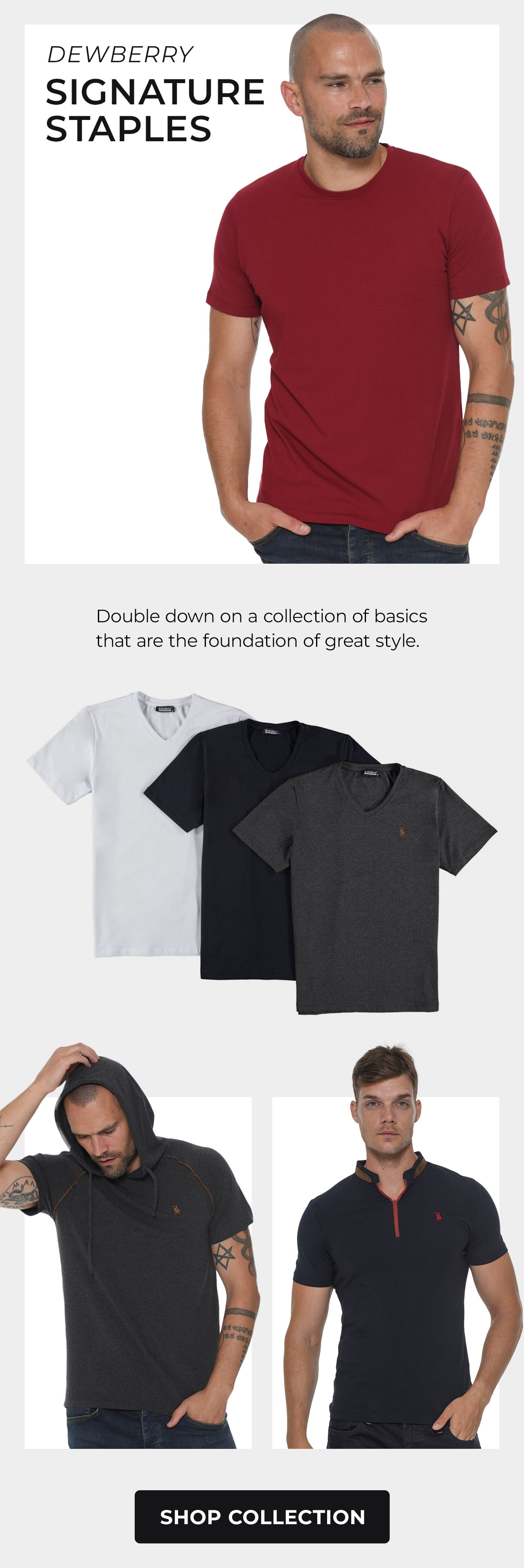 Dewberry Basics
