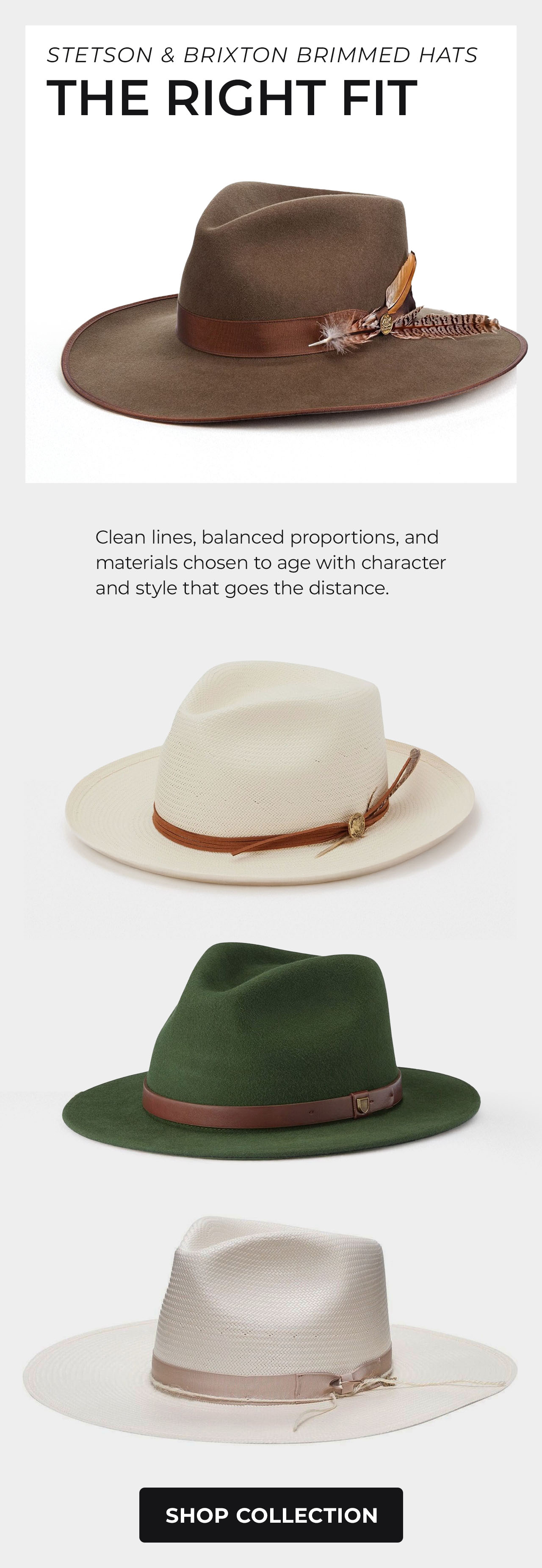 Stetson & Brixton Brimmed Hats