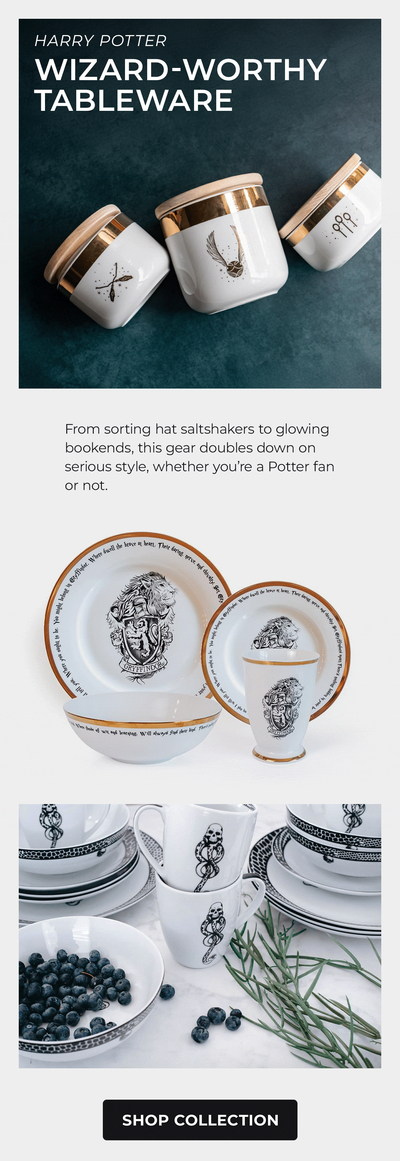 Harry Potter Dinnerware