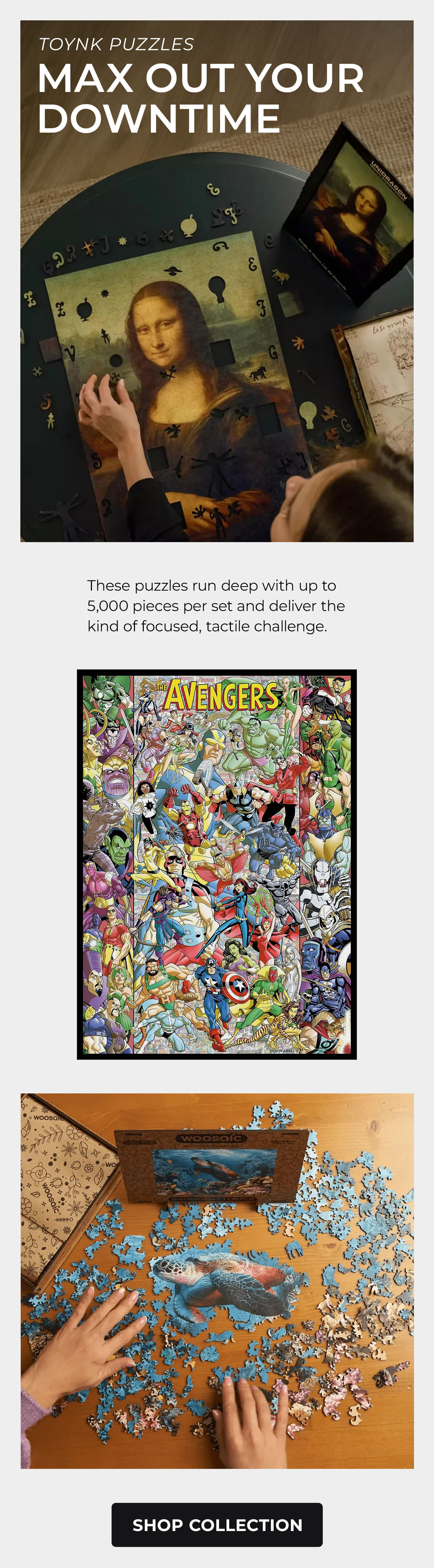Toynk Puzzles