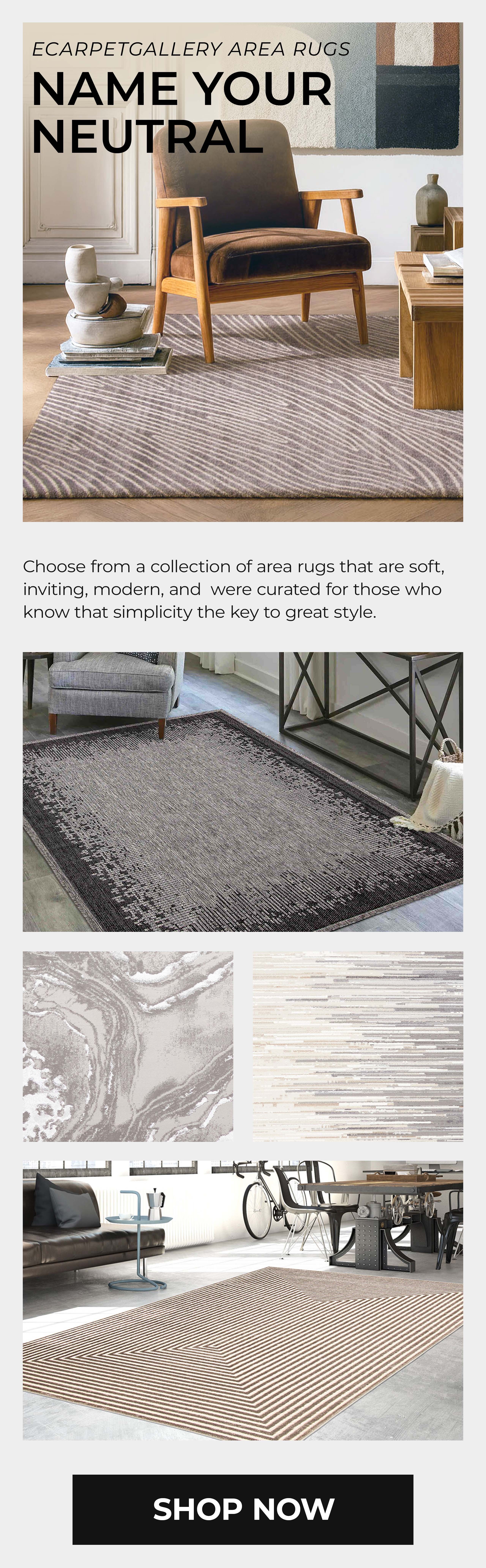 ECARPETGALLERY Area Rugs